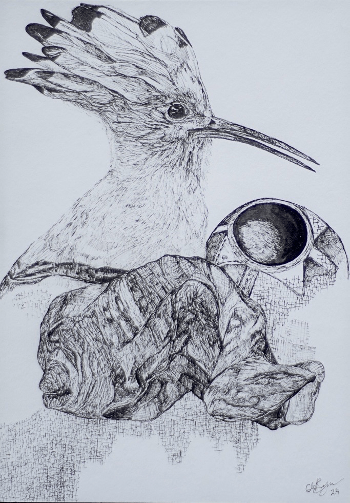 Adaptable birds 7
