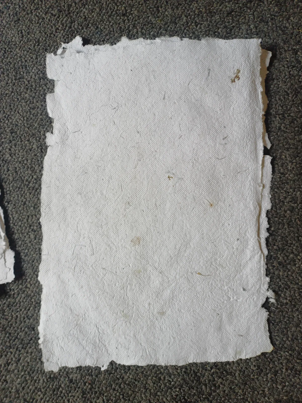 An A3 sheet of handmade paper, white and heavily textured with visible fibre